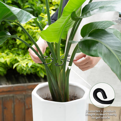 Yohsnor Monstera Plant Stem Support System - 5 Piece Set (5.5x4.7in) | Durable Plant Support Stakes for Climbing Plants & Fishbone Cactus | Ideal Leaf Stabilizer for Indoor Plants & Monstera Care