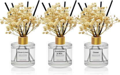 Reed Diffuser Set of 3 Pack,Clean Linen,Eucalyptus & Mint,Ocean Scented Oil Diffuser with 4 Sticks,Reed Diffusers for Home,Living Room,Bathroom Air Freshener Diffuser,50ml x 3