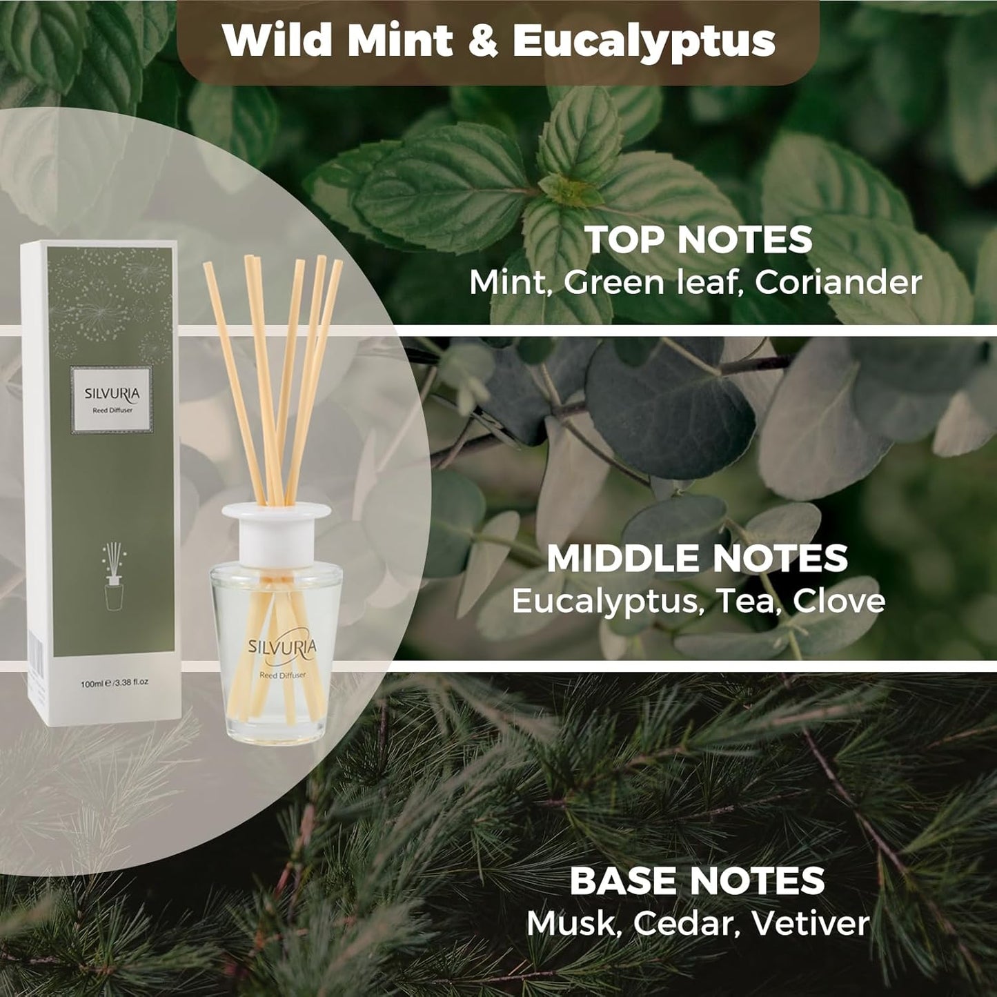 Reed Diffuser Set,100ml Fresh Linen Scented Oil with 6 Reed Sticks for Home,Office & Bathroom,Long-Lasting Fragrance for Families,Professionals & Pet-Friendly Spaces