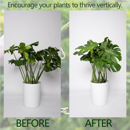 Yohsnor Monstera Plant Stem Support System - 5 Piece Set (5.5x4.7in) | Durable Plant Support Stakes for Climbing Plants & Fishbone Cactus | Ideal Leaf Stabilizer for Indoor Plants & Monstera Care