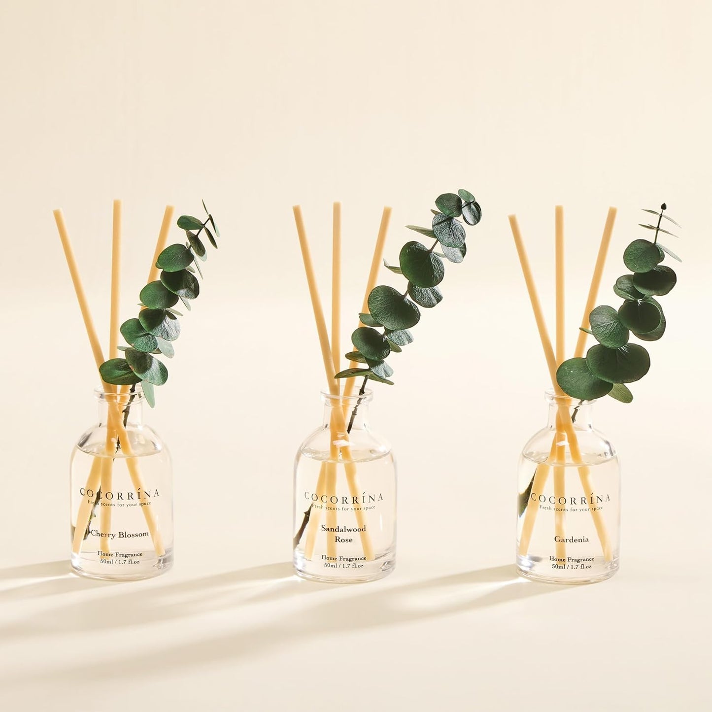 COCORRÍNA Eucalyptus Reed Diffuser Set of 3 - Eucalyptus & Moss, Clean Linen, Ocean Mist Scents, 1.7 fl oz Each, Total 5.1 oz, Scented Oil Diffusers for Home & Office