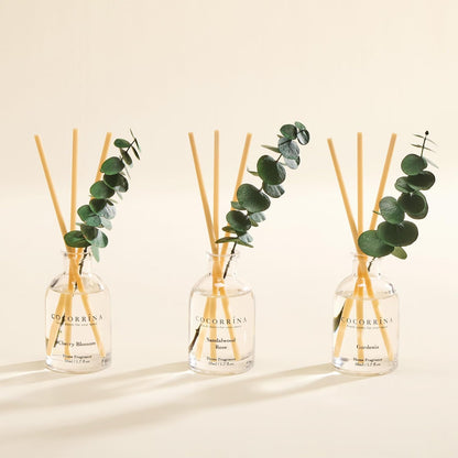 COCORRÍNA Eucalyptus Reed Diffuser Set of 3 - Eucalyptus & Moss, Clean Linen, Ocean Mist Scents, 1.7 fl oz Each, Total 5.1 oz, Scented Oil Diffusers for Home & Office