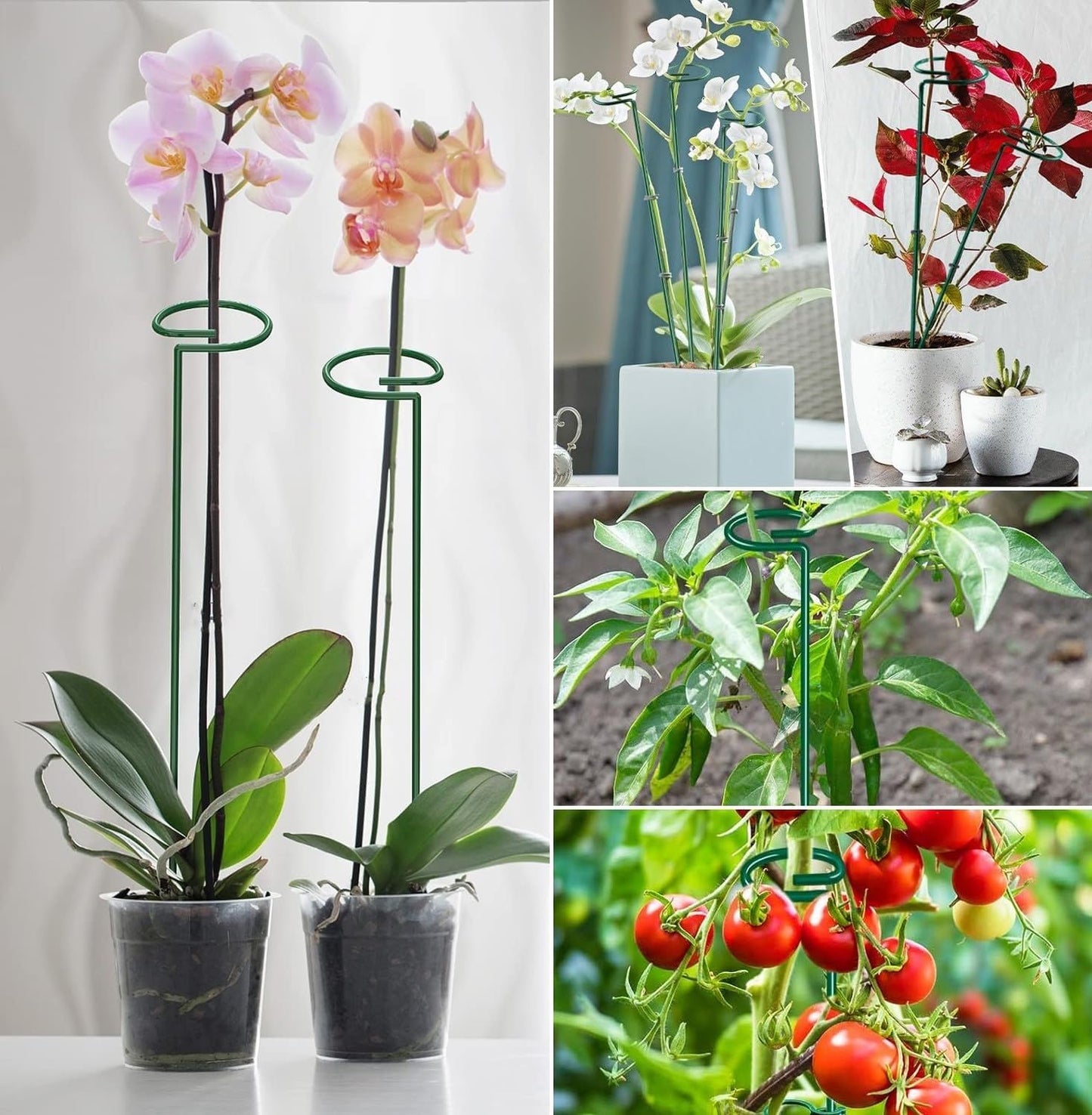 6 Pack 24 in Extendable Plant Support Stakes for Outdoor Plants and Flowers | Adjustable 12 to 24 Inch garden sticks for indoor outdoor, fits orchid, tomato, vegetables and monstera