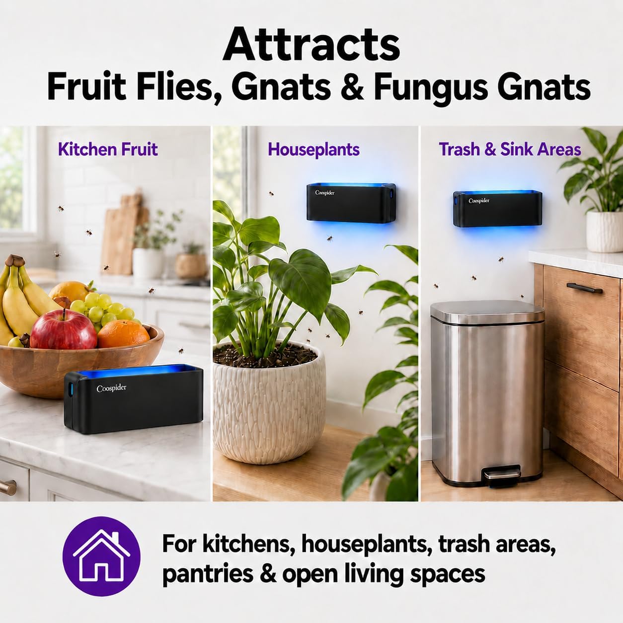 2 Pack UV Fruit Fly & Gnat Trap Indoor, Fungus Gnat Trap for Houseplants, Wall-Mounted Fly Light Trap with 10 Sticky Glue Boards, Quiet No-Zap Bug Catcher for Kitchen, Living Room, Bedroom