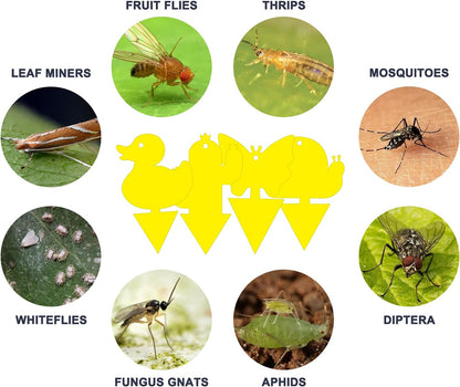 Gideal 2-Pack Yellow Sticky Fly Traps Pest Control for Indoor/Outdoor Use, Gnat Trap for Flying Plant Insect