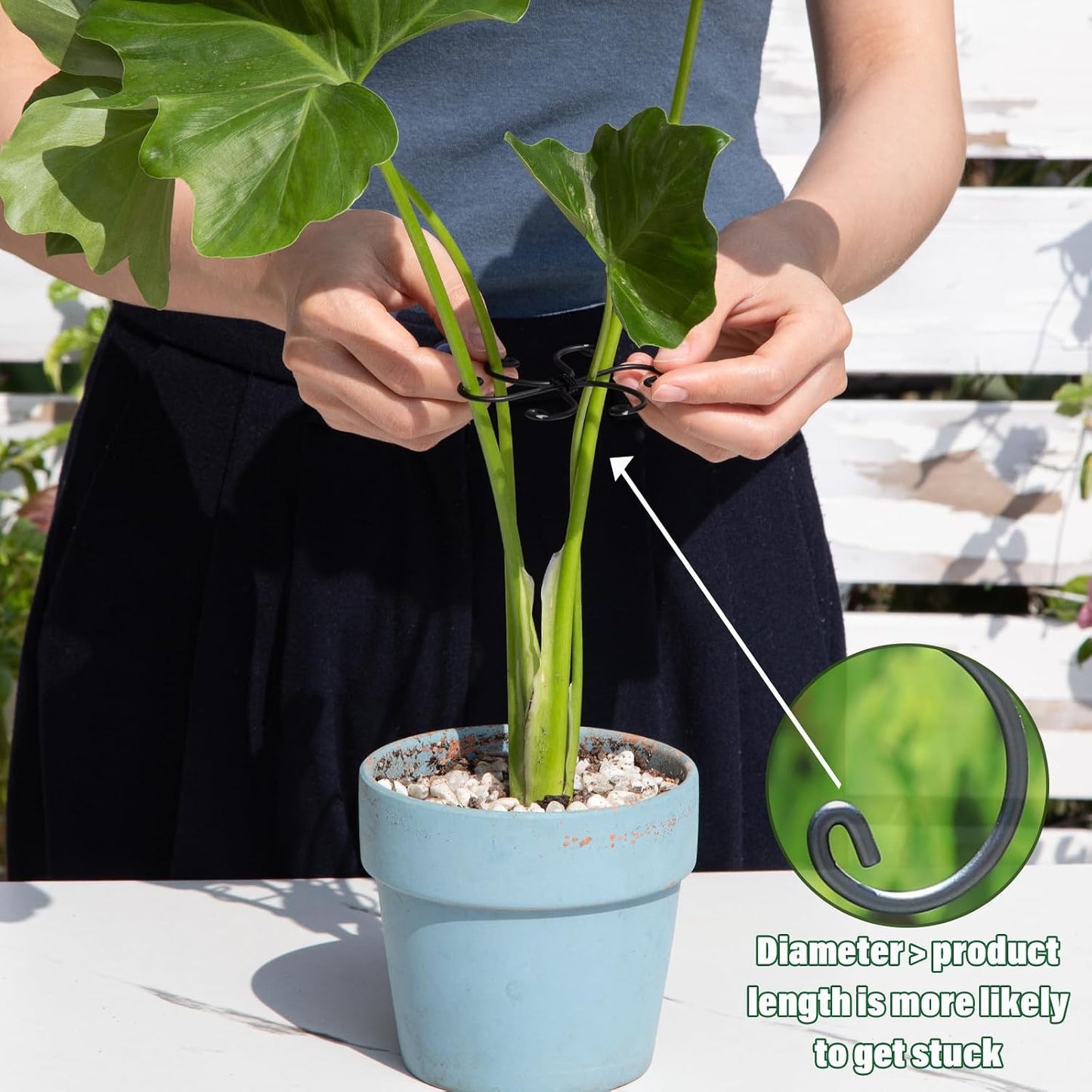 Yohsnor Monstera Plant Stem Support System - 5 Piece Set (5.5x4.7in) | Durable Plant Support Stakes for Climbing Plants & Fishbone Cactus | Ideal Leaf Stabilizer for Indoor Plants & Monstera Care