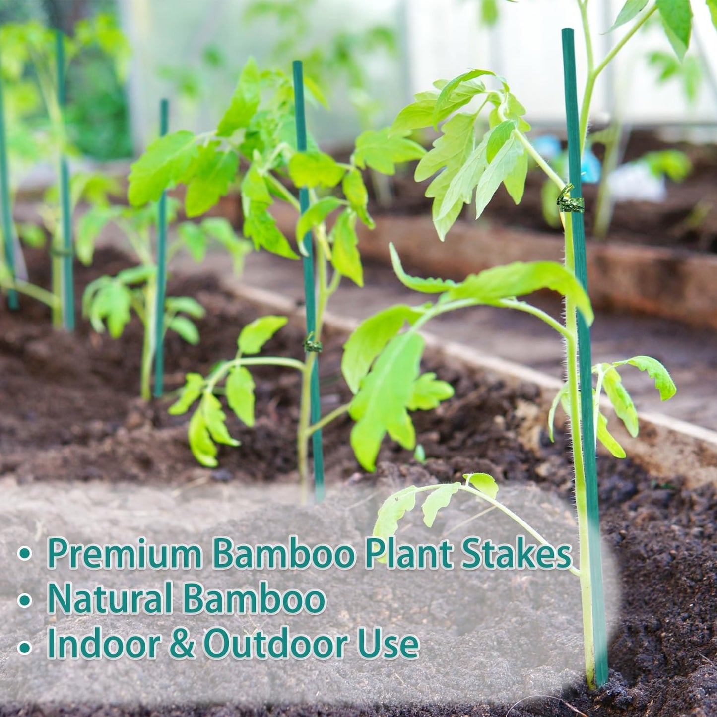Garden Wood Plant Stakes Green Bamboo Sticks,HAINANSTRY Sturdy Floral Plant Support Stakes Wooden,Wooden Sign Posting Garden Sticks(25 Pack 18 Inches)