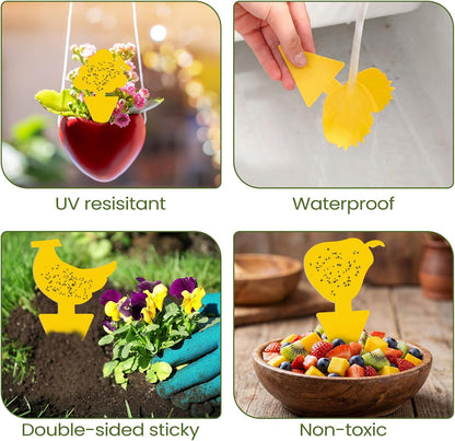 200 Sheets Fruit Fly Sticky Traps for Fruit Fly Gnat Trap for House Indoors Sticky Traps Catcher for Gnats Fungus Gnats Mosquito Catcher for Kitchen Outdoor Plants(Yellow)
