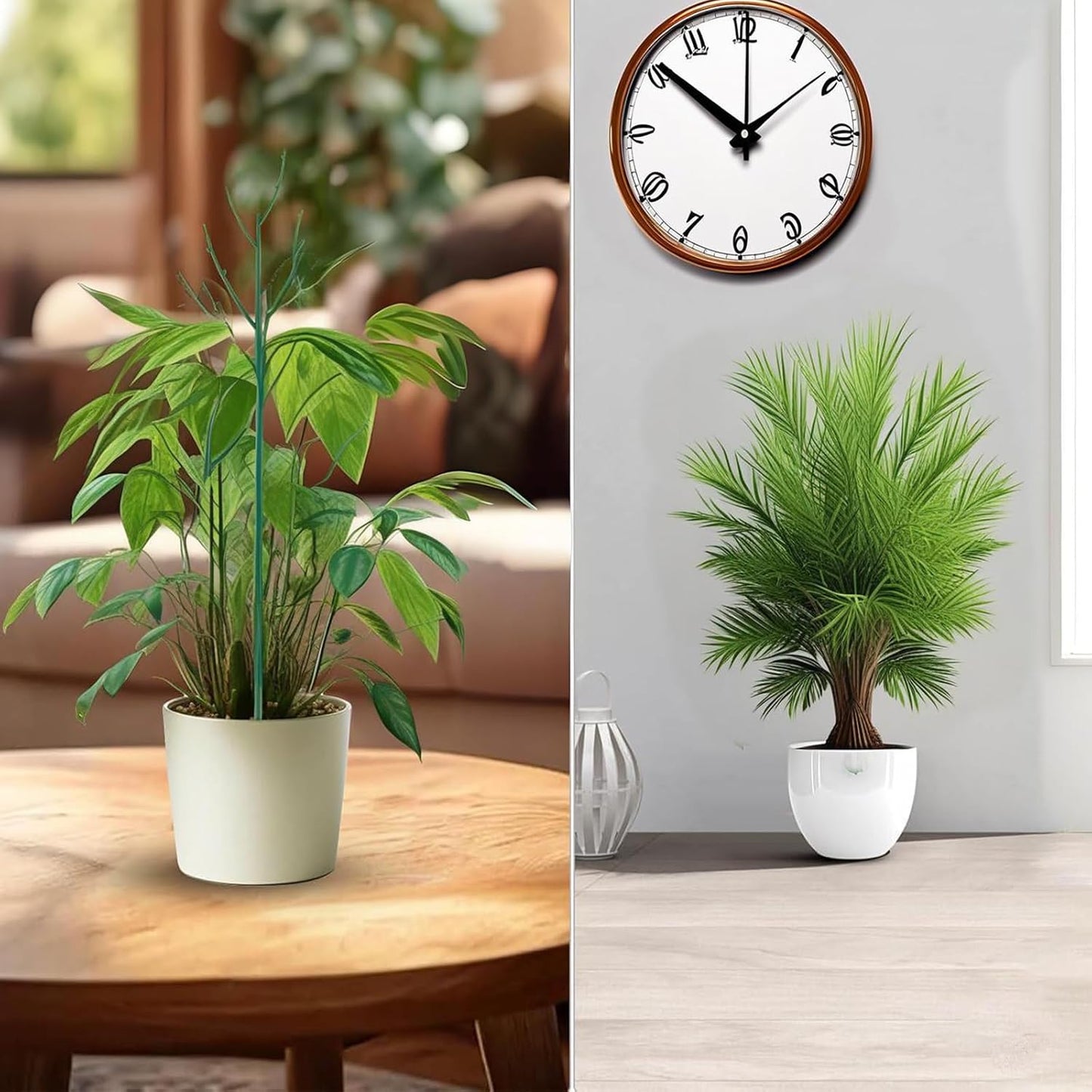 10 Pack Stackable Monstera Plant Support, Garden Stakes | For Climing Plants Stem Support,Durable Plant Accessories for Indoor Outdoor Potted Plants, Flower Other Climbing Plants