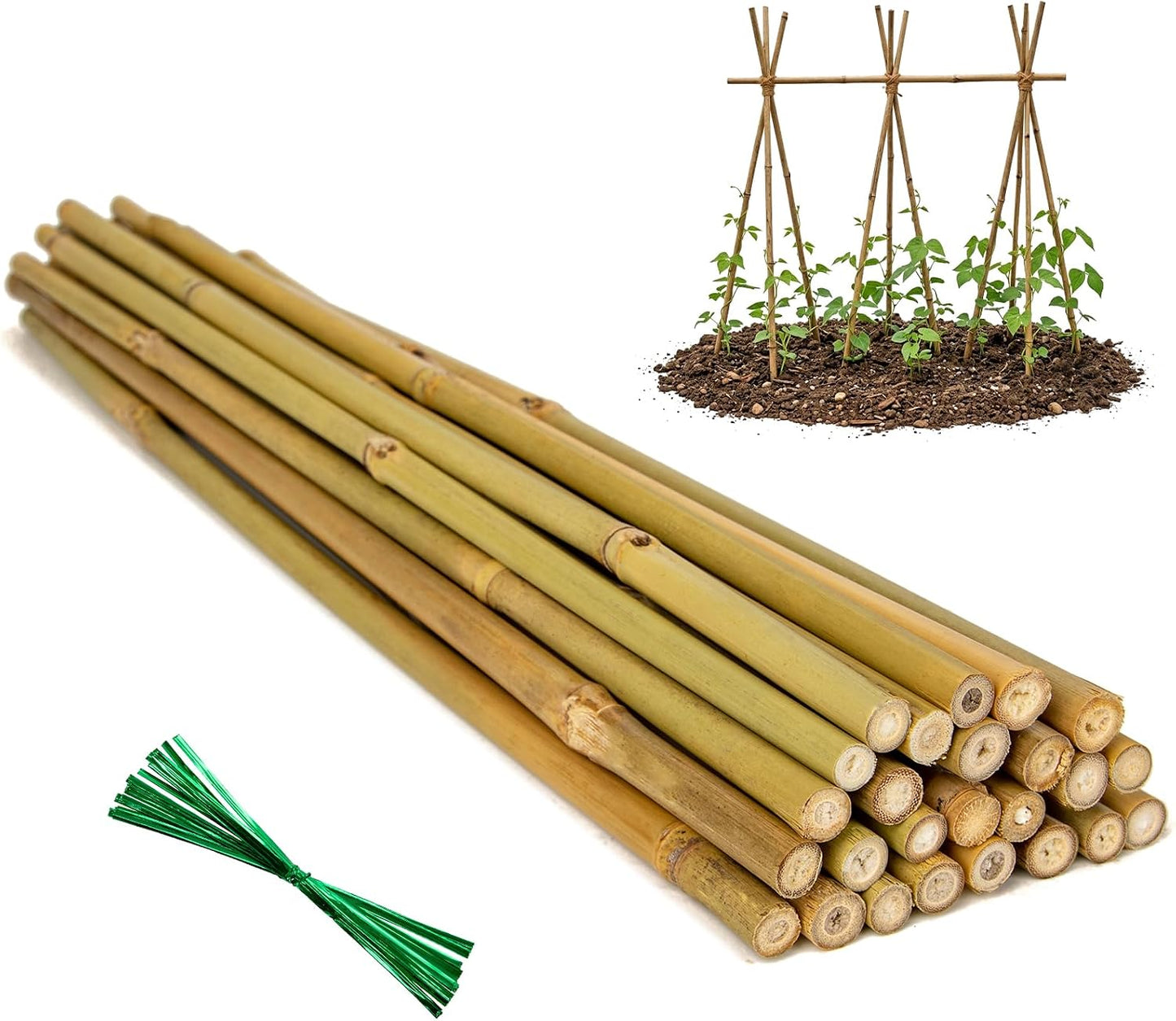 Plant Stakes Natural Bamboo Sticks - 30 Pcs Bamboo Garden Stakes for Plants 4.8 FT Plant Support Sticks with Twist Ties for Tomatoes Beans Flowers Indoor Outdoor Potted Climbing Plants