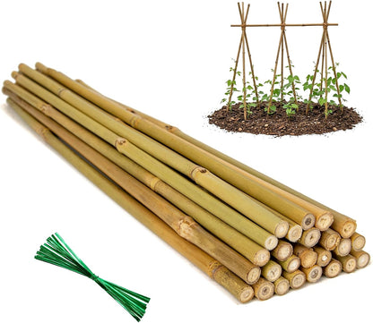 Plant Stakes Natural Bamboo Sticks - 30 Pcs Bamboo Garden Stakes for Plants 4.8 FT Plant Support Sticks with Twist Ties for Tomatoes Beans Flowers Indoor Outdoor Potted Climbing Plants