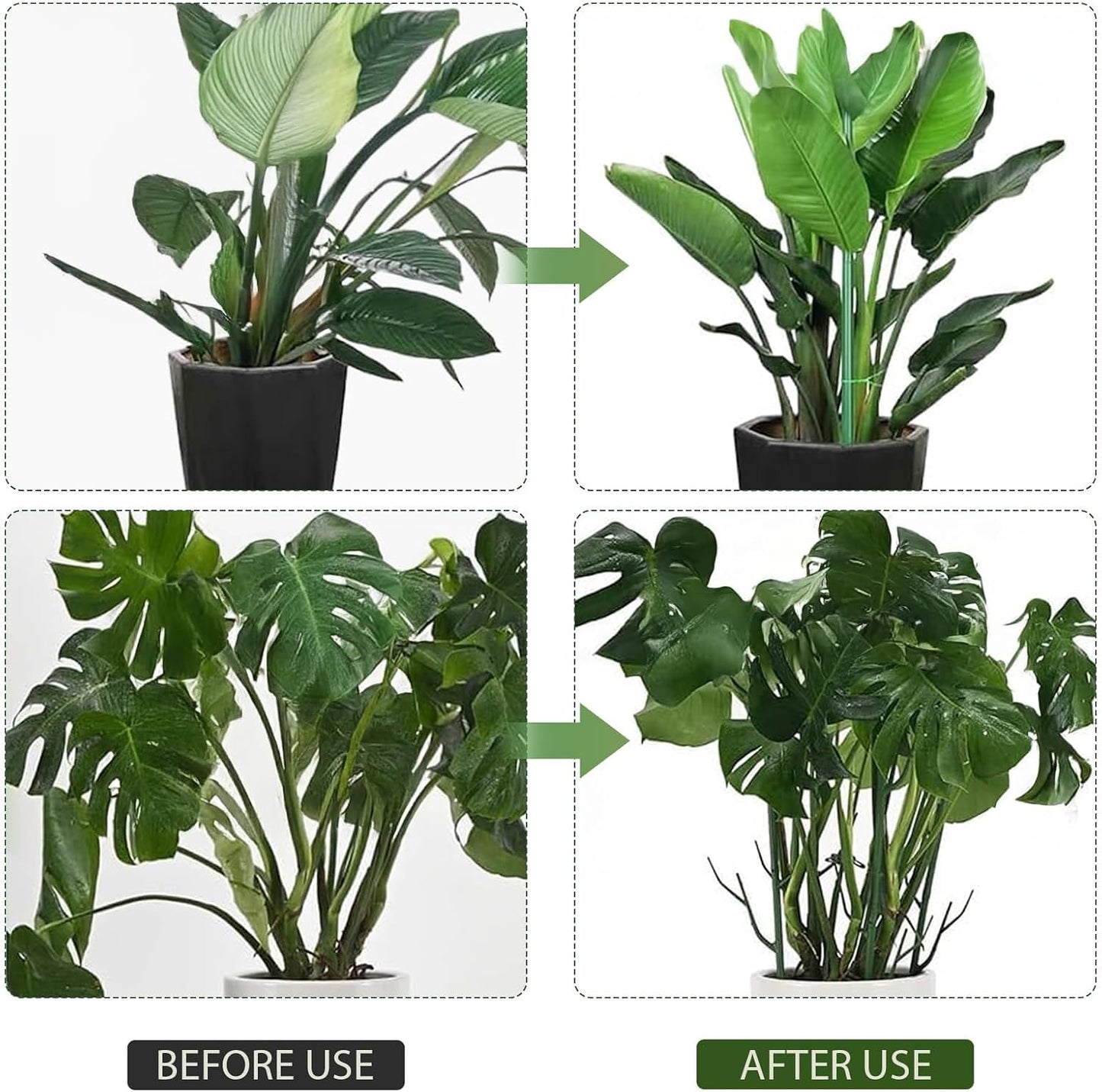 Upgrade Stackable Monstera Plant Support,2026 New Durable Garden Plant Support Stakes for Indoor Outdoor Potted Plants,Garden Accessories Plant Sticks for Vine Training Stem Stabilization (5, Green)
