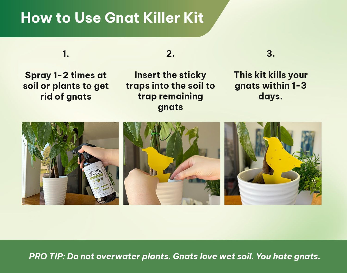 Kate's Home & Garden 36 Count Fruit Fly Traps for Indoors and House. Yellow Sticky Trap for Gnats, Mosquitos, Plants, Ants