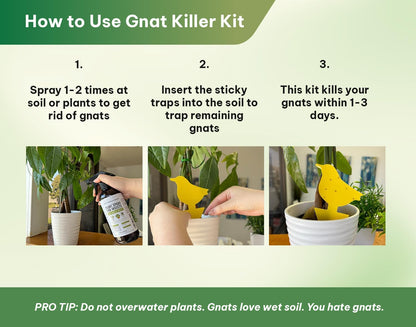 Kate's Home & Garden 36 Count Fruit Fly Traps for Indoors and House. Yellow Sticky Trap for Gnats, Mosquitos, Plants, Ants