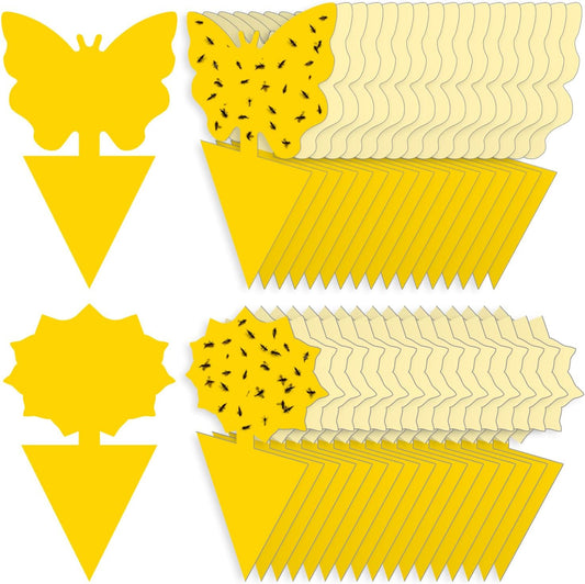 Fruit Fly Traps for Indoors Gnat Killer for House Outdoor Sticky Traps | Eco-Friendly Material, No Chemical Additives, Waterproof, UV Resistant, Protects Plants, Perfect for Plant Lovers 36pcs