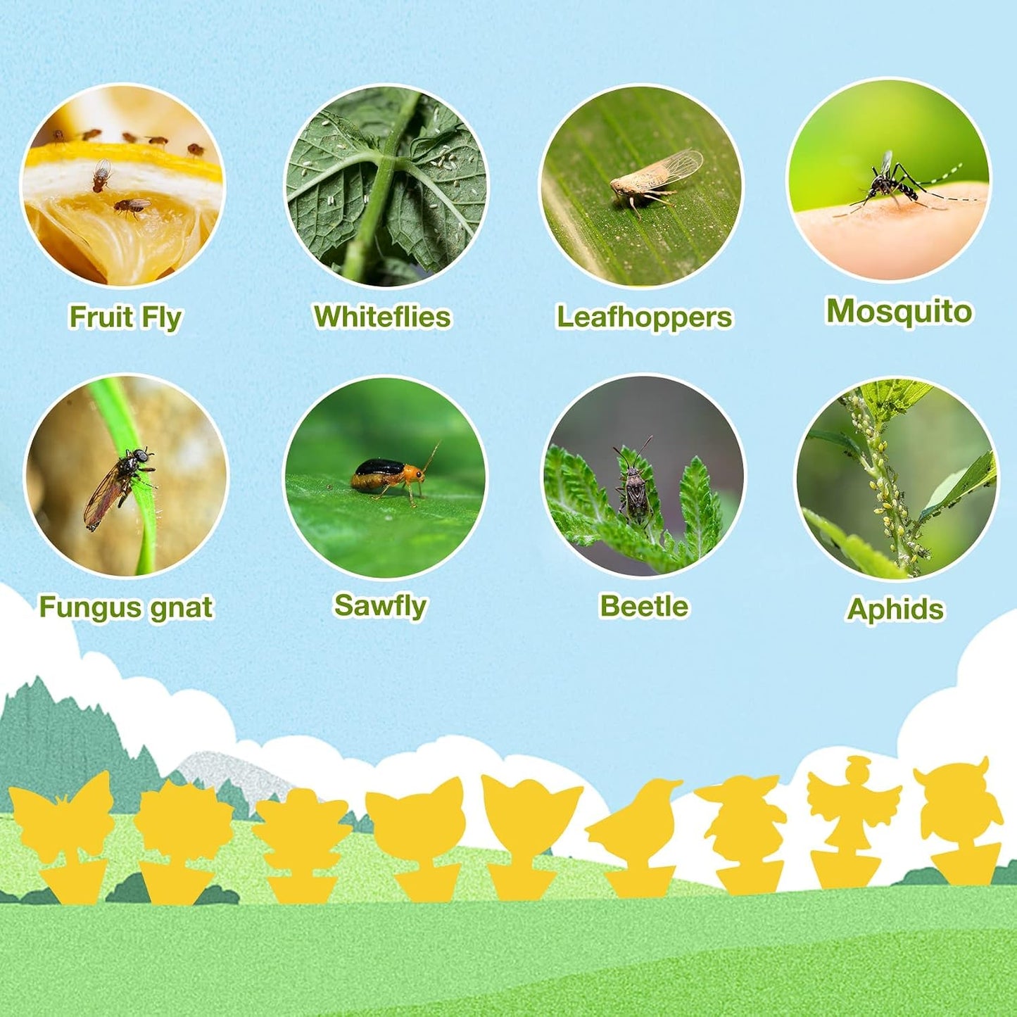 40 Pack Fungus Gnat Traps for House Indoor Yellow Sticky Traps for Gnats Sticky Traps for Plants, Dual-Sided Fungus Gnat Sticky Traps Fruit Fly Traps for Indoors