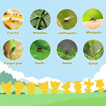 40 Pack Fungus Gnat Traps for House Indoor Yellow Sticky Traps for Gnats Sticky Traps for Plants, Dual-Sided Fungus Gnat Sticky Traps Fruit Fly Traps for Indoors