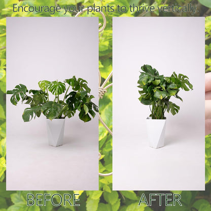 5PCS Monstera Plant Stem Support Stakes - 5.5 * 5.5IN Metal Supports for Monstera and Fishbone Cactus, Sturdy Frame, Easy Installation, Flexible Protection for Healthy Growth Indoors