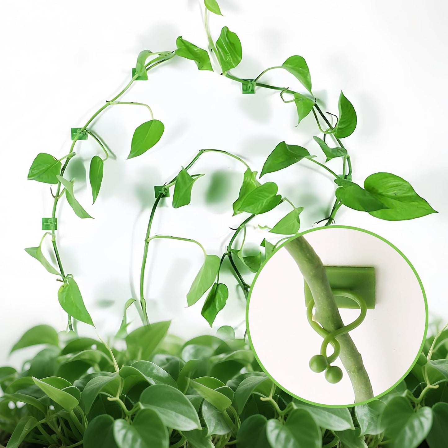Beurio Plant Clips for Wall, 30 Pcs Self Adhesive Vine Clips | 3 sizes, smooth-surface adhesive, ivy and pothos support, green plastic, cable tidying