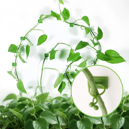 Beurio Plant Clips for Wall, 30 Pcs Self Adhesive Vine Clips | 3 sizes, smooth-surface adhesive, ivy and pothos support, green plastic, cable tidying
