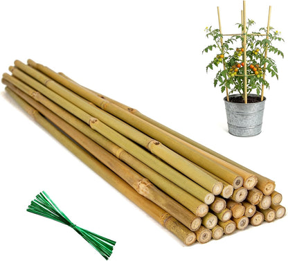 Plant Stakes Natural Bamboo Sticks - 30 Pcs Bamboo Garden Stakes for Plants 4.8 FT Plant Support Sticks with Twist Ties for Tomatoes Beans Flowers Indoor Outdoor Potted Climbing Plants