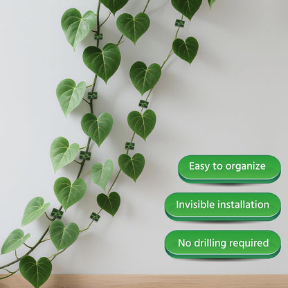 Beurio Plant Clips for Wall, 30 Pcs Self Adhesive Vine Clips | 3 sizes, smooth-surface adhesive, ivy and pothos support, green plastic, cable tidying