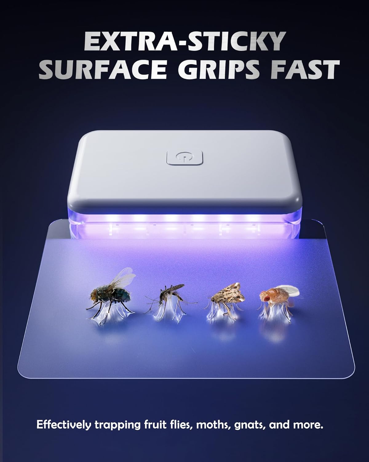 LFSYS Fruit Fly Traps for Indoors (1 Device+10 Refills) Plug in Fly Trap for Gnats, Fruit Flies, Flying Insects Sleek Design Indoor Safe