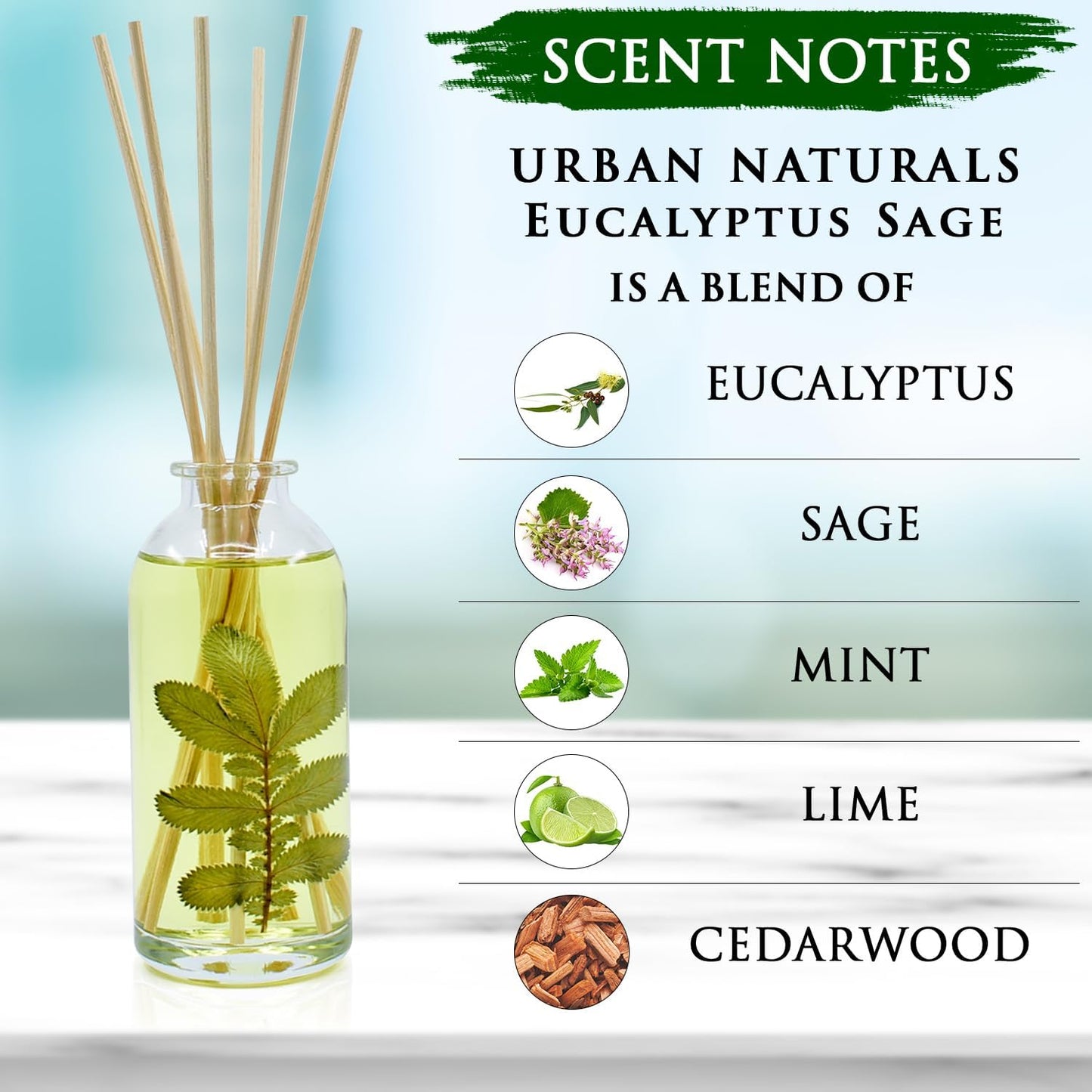 Urban Naturals Smoked Vanilla Reed Diffuser Set with Vanilla Bean, Sandalwood & Leather | Made in the USA - Colors C