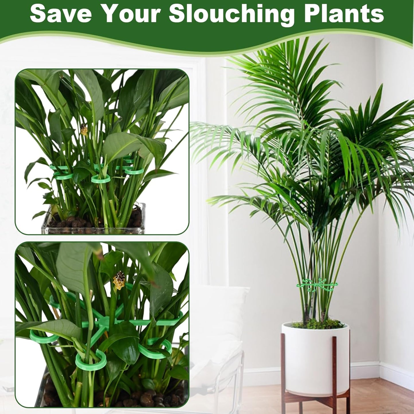 16pcs Plant Stem Support, Plant Support for Indoor Plants, 4 Sizes Climbing Houseplant Stem Holders, Reusable Plant Stabilizer, Indoor Plants Accessories
