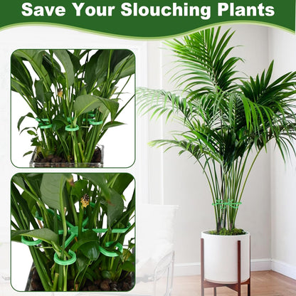 16pcs Plant Stem Support, Plant Support for Indoor Plants, 4 Sizes Climbing Houseplant Stem Holders, Reusable Plant Stabilizer, Indoor Plants Accessories