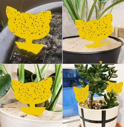 2 Pack Reusable Wasp Traps Outdoor Hanging | Yellow Jacket Trap Carpenter Bee Traps for Outside Hornet Trap Wasp Catcher for Outdoors, Wasps Killer Garden, Farm