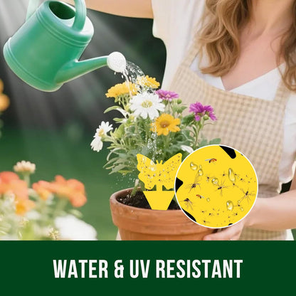 Garsum 36 Pack Fungus Gnat Traps Sticky Fruit Fly Trap Killer for Kitchen Indoor and Outdoor, Insect Fly Traps for House Plants, Whitefly, Mosquito Bits, Flying Insects