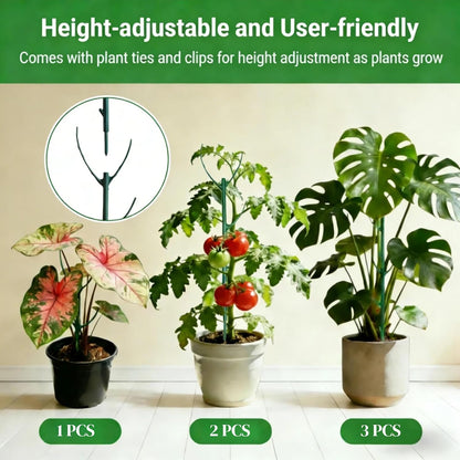 12 Pack Stackable Plant Stakes, Monstera Plant Support, Climbing Plant Stakes for Indoor & Outdoor Potted Plants, Branch-Like Shape Stem Accessories (12 Pack)