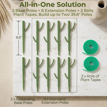 Heavy-Duty Monstera Plant Support Stakes - 10-Piece Stackable Sticks | For Climbing Stem up to 39.6" Tall - 0.55" Thick Indoor Plant Poles & Outdoor Garden Structures