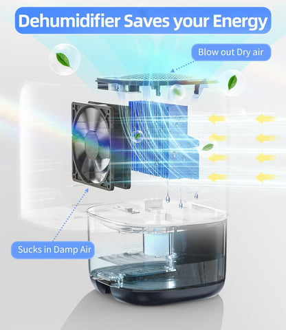 Dehumidifier, 35 OZ Small Dehumidifiers for Bedroom for Home, Quiet with Auto Shut Off, Dehumidifiers for Bedroom (280 sq. ft), Bathroom, RV, Closet, Grey