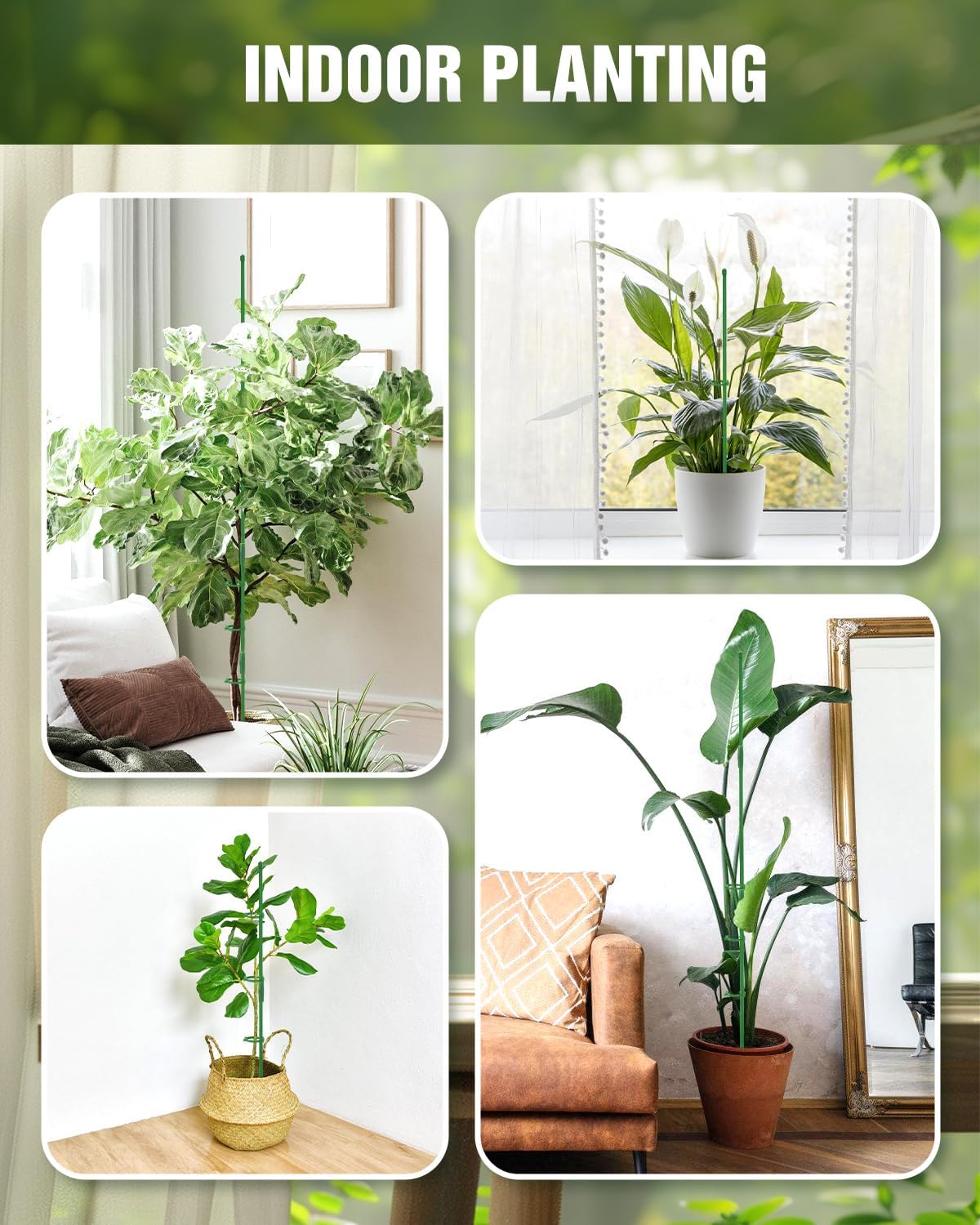 20 Pack 16 Inch Plant Support Stakes for Indoor & Garden | Sturdy plastic, Lightweight, Adjustable height, Easy install, Supports tomatoes, Beans, Orchids, Vegetables