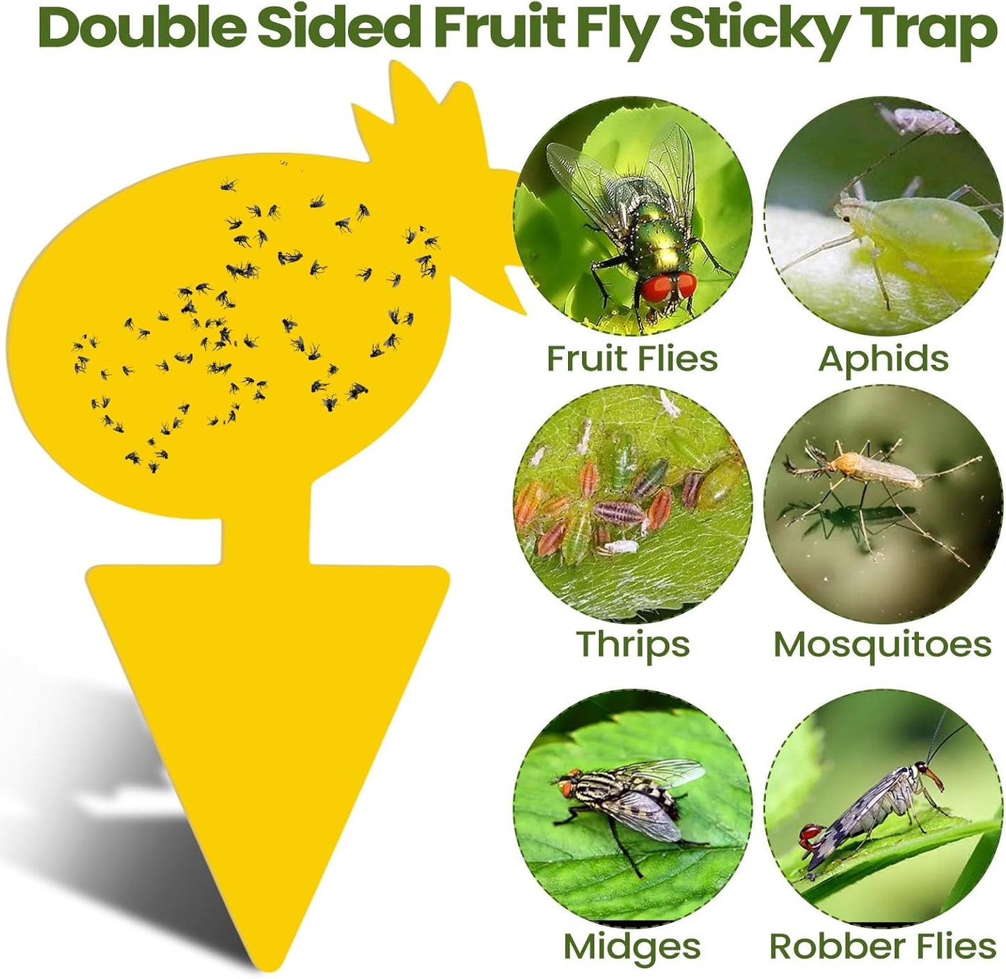 200 Sheets Fruit Fly Sticky Traps for Fruit Fly Gnat Trap for House Indoors Sticky Traps Catcher for Gnats Fungus Gnats Mosquito Catcher for Kitchen Outdoor Plants(Yellow)