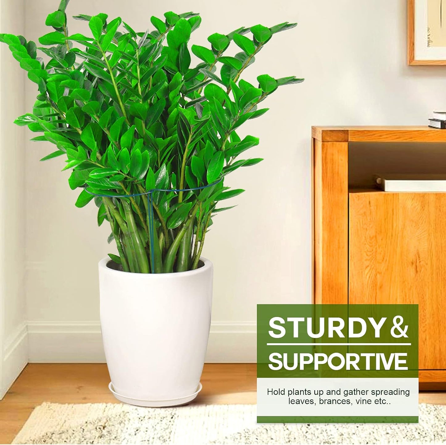 LEOBRO Plant Support Plant Stakes, 12pcs Peony Cages and Supports, Metal Garden Stakes Plant Supports, Plant Support Stakes, for Peony, Tomato, Hydrangea, Indoor Outdoor Plants, 10" W x 24" H