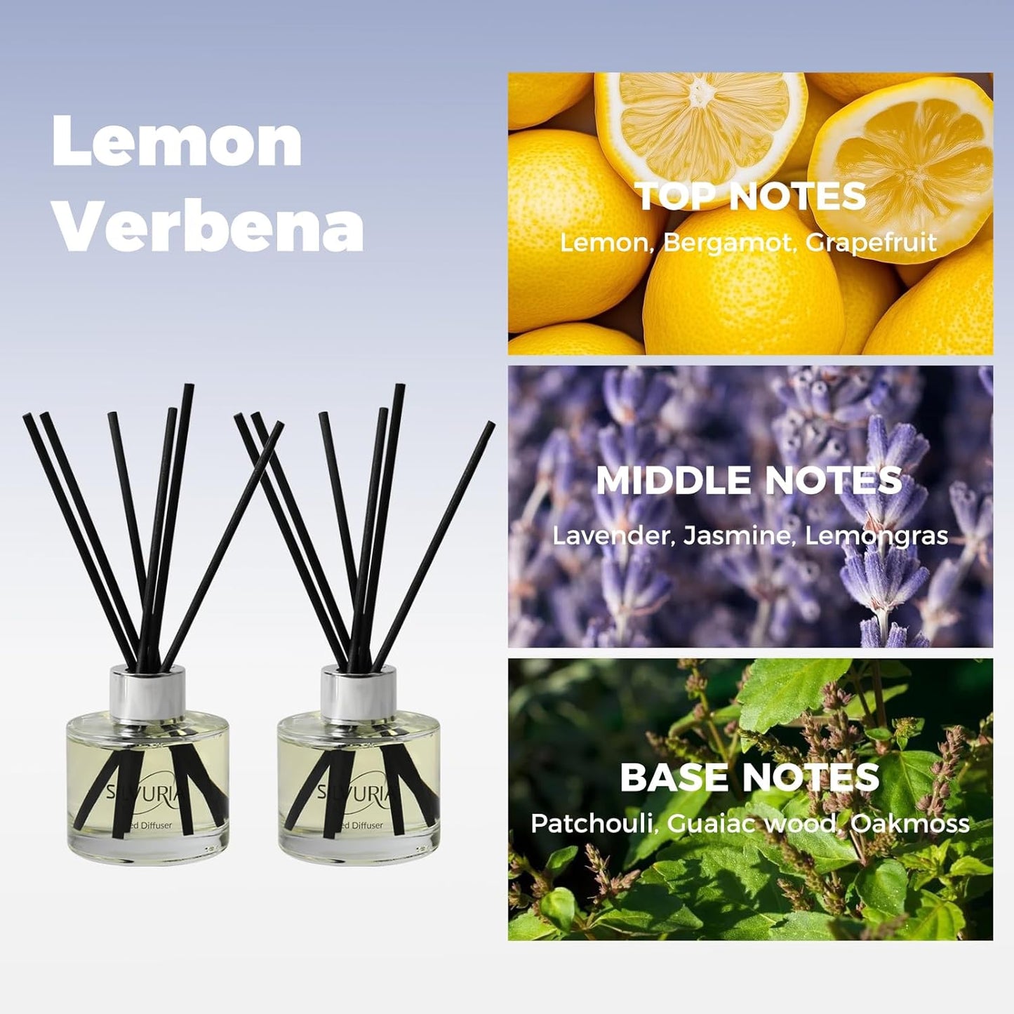 Reed Diffuser Set,Bamboo White Tea Scented Oil Diffuser with 12 Reed Sticks,3.38 fl.oz(100ml x2),Long-Lasting Home Fragrance for Living Room,Bedroom,Bathroom