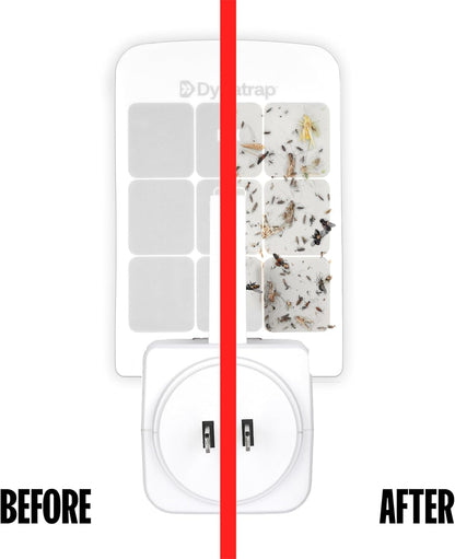 Dynatrap Glue Card Refills for Indoor Dynatrap Fly Trap Models DT3007 and DT3007W - 6 Glue Cards - 23007 - Discreet Indoor Insect Control - Includes 6 Official Refills
