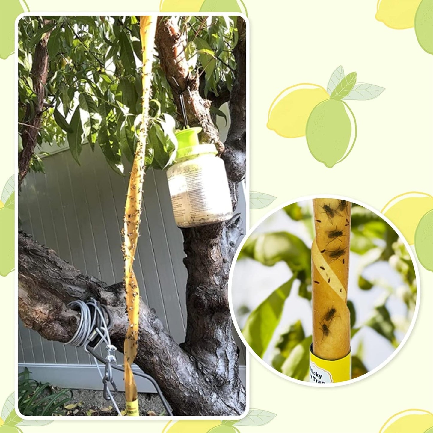 40 Pack Fly Strips Sticky Hanging Fly Trap Indoor Outdoor with Pins | Fly Paper Tape Fruit Fly Gnat Fungus Bug Catcher for Winged Insect & Mosquito for Orchard Farm Home Kitchen