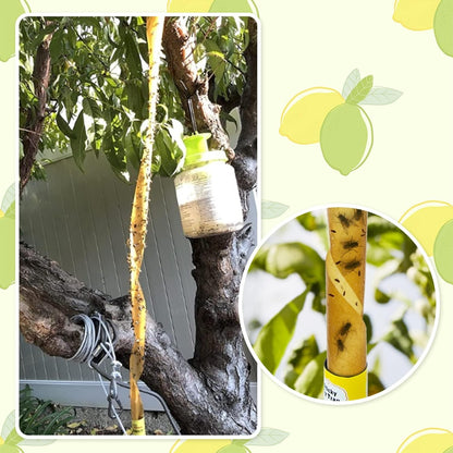 40 Pack Fly Strips Sticky Hanging Fly Trap Indoor Outdoor with Pins | Fly Paper Tape Fruit Fly Gnat Fungus Bug Catcher for Winged Insect & Mosquito for Orchard Farm Home Kitchen