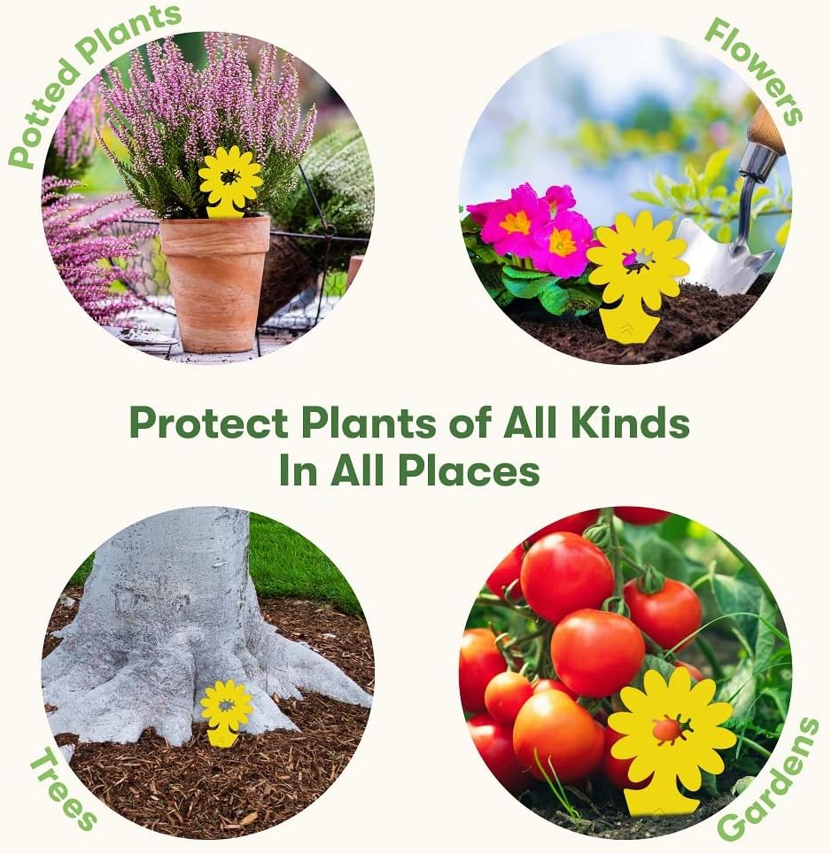 BugMD Sticky Bug Traps (12 Pack) - Indoor Fruit Fly Killer, Fungus Gnat Killer, Plant sticky traps for Bugs, Yellow Sticky Fly Traps for Plants, Gnat for Plants, Odorless