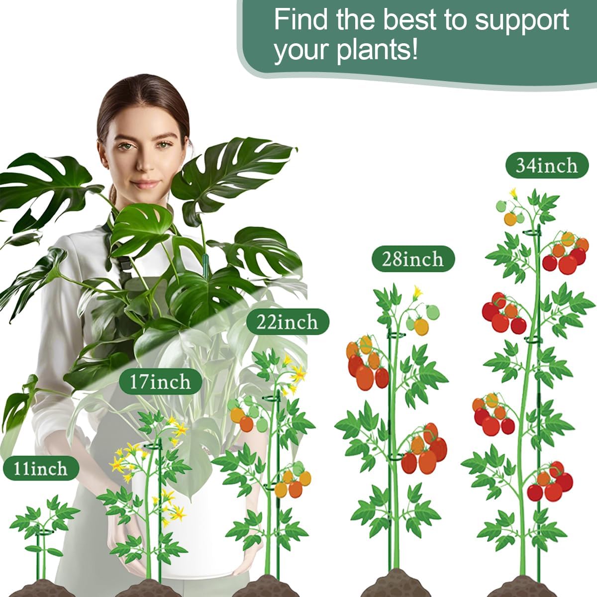 Plant Stakes,Adjustable Length Support Stake Orchid Stick with Ring Buckles Garden Pole for Potted Tomato Rose Amaryllis Beans Vegetables Comes with 40-inch Ties (Green, 17inch&12inch)