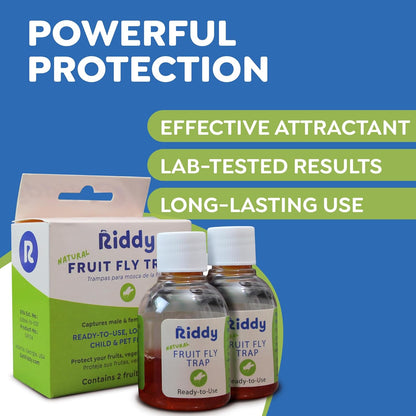 Riddy Fruit Fly Traps – Non-Toxic, Ready-to-Use, Long-Lasting Solution for Fruit Flies in Kitchens and Food Preparation Areas, Pack of 2