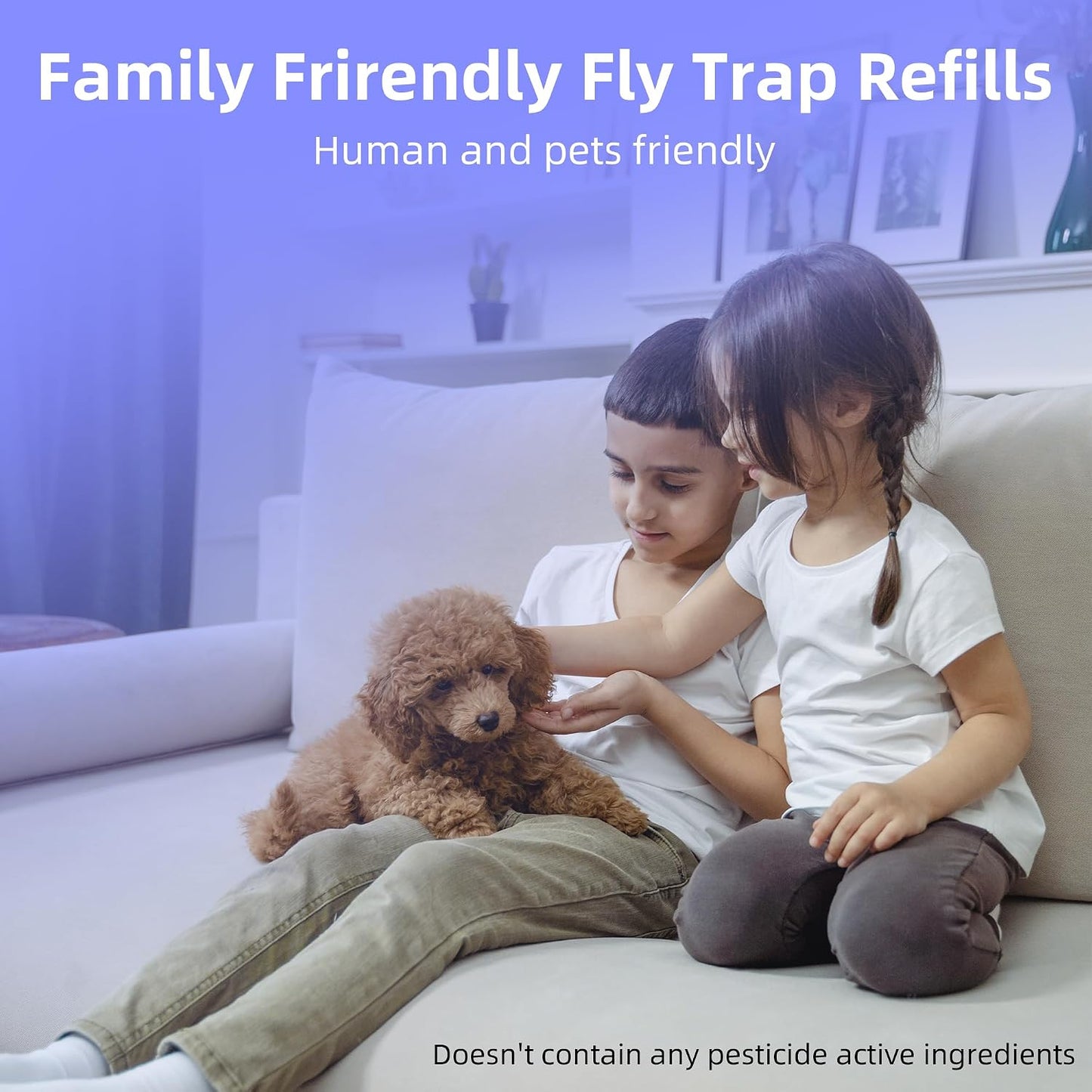 UVA Fly Insect Trap Refills Glue Cards for UVLA1001 Indoor, Catch Gnats, House & Fruit Flies - 5Pack, Single Sided Sticky