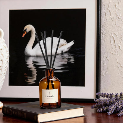 Reed Diffuser Set, 8.12 fl.oz Citrus Scent Oil Diffuser with Sticks, Long-Lasting Home Fragrance Reed Diffuser for Bathroom Shelf Decor, Air Freshener Room Diffuser, 2 Pack