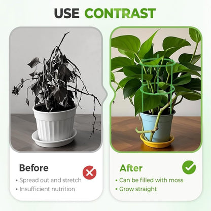 12PCS Plant Support Stakes Half Round Plant Stakes for Indoor Plants, Stackable Garden Flower Support, Plant Cages for Tomato,Monstera, Peony, Hydrangea, Climbing Plants