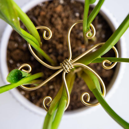 5PCS Monstera Plant Stem Support Stakes - 5.5 * 5.5IN Metal Supports for Monstera and Fishbone Cactus, Sturdy Frame, Easy Installation, Flexible Protection for Healthy Growth Indoors