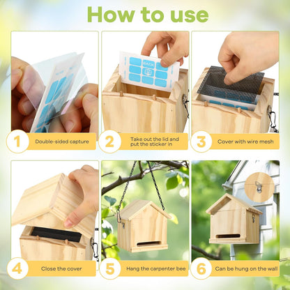 Carpenter Bee Trap for Outside - Wasp Traps Outdoor Hanging with Sticky Traps - Carpenter for Wasps, Mud Daubers (2 Bee Trap+8 Refills)